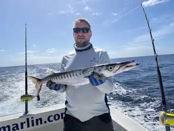 Atún del Atlántico, barracudas, ¡¡buenos días!! White Marlin Gran Canaria