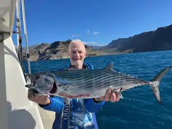 Atún del Atlántico, barracudas, ¡¡buenos días!! White Marlin Gran Canaria