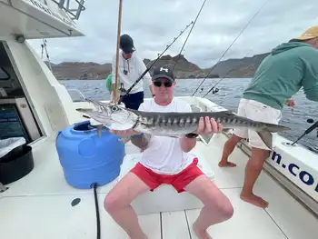 Atún del Atlántico, barracudas, ¡¡buenos días!! White Marlin Gran Canaria