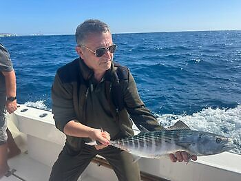 Store røde snappere, wahoo, atlantisk tunfisk White Marlin Gran Canaria