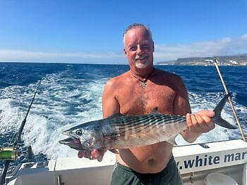 Atlantisk tunfisk, barracudaer, store røde snappere!!! White Marlin Gran Canaria