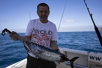 Atlantisk tunfisk, barracudaer, store røde snappere!!! White Marlin Gran Canaria