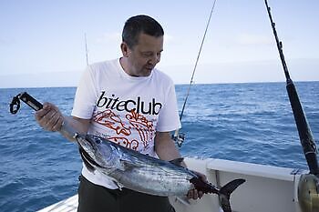 Atlantisk tunfisk, barracudaer, store røde snappere!!! White Marlin Gran Canaria