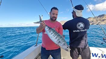 Atlantisk tunfisk, barracudaer, store røde snappere!!! White Marlin Gran Canaria