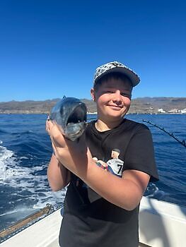 Atlantisk tunfisk, barracudaer, store røde snappere!!! White Marlin Gran Canaria