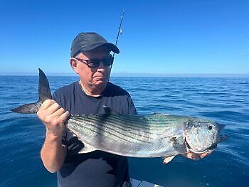 Atlantisk tunfisk, barracudaer, store røde snappere!!! White Marlin Gran Canaria