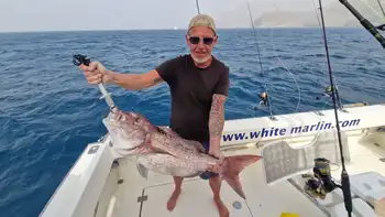 Big Red Snappers,Wahoo,Atlantic Tuna White Marlin Gran Canaria