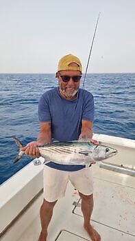 Store røde snappere, wahoo, atlantisk tunfisk White Marlin Gran Canaria