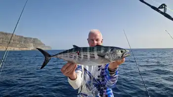 Wahoo, Atlantischer Thunfisch, Wind … White Marlin Gran Canaria