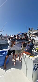 Pargos rojos grandes, atún del Atlántico White Marlin Gran Canaria