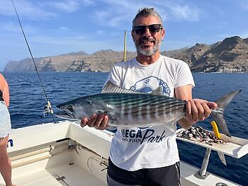 Pargos rojos grandes, atún del Atlántico White Marlin Gran Canaria