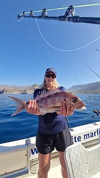 Pargos rojos grandes, atún del Atlántico White Marlin Gran Canaria