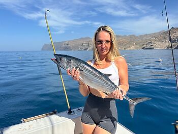 Pargos rojos, atún del Atlántico, barracudas…. White Marlin Gran Canaria