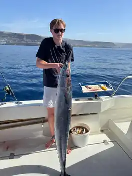 Wahoooo, Bernsteinmakrelen, Atlantischer Thunfisch… White Marlin Gran Canaria