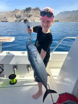 Wahoooo, Bernsteinmakrelen, Atlantischer Thunfisch… White Marlin Gran Canaria
