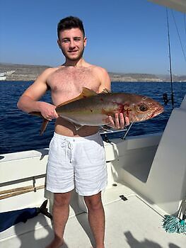 Wahooss, medregales… White Marlin Gran Canaria