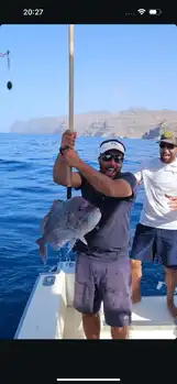 Big Red Snappers,Atlantic Tuna - White Marlin Gran Canaria