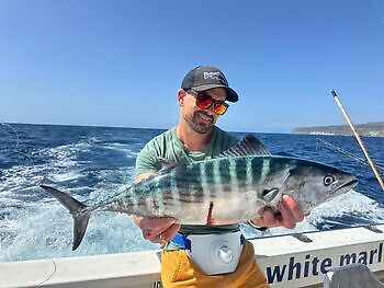 Pargos rojos grandes, atún del Atlántico White Marlin Gran Canaria