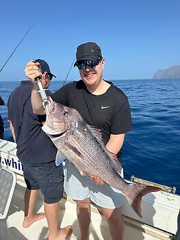 Pargos rojos grandes, atún del Atlántico White Marlin Gran Canaria