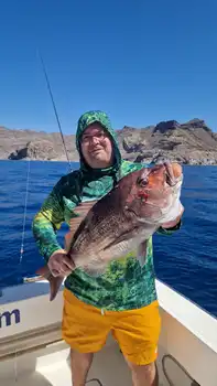 Schönen Sonntag, Angler! - White Marlin Gran Canaria