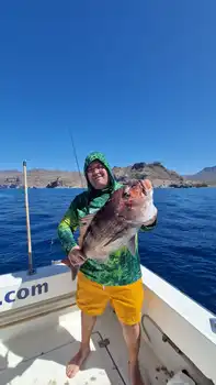 Schönen Sonntag, Angler! White Marlin Gran Canaria