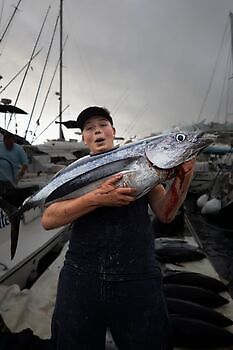Albacores!! White Marlin Gran Canaria