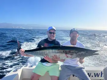 Blauwvintonijn 300/320 kg, Wahoo 20/22 kg White Marlin Gran Canaria
