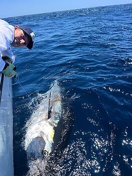 Stort øye!! White Marlin Gran Canaria