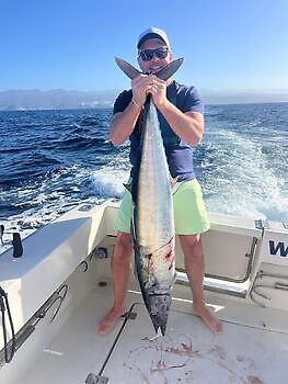 Blåfinnet tunfisk Wahoo White Marlin Gran Canaria