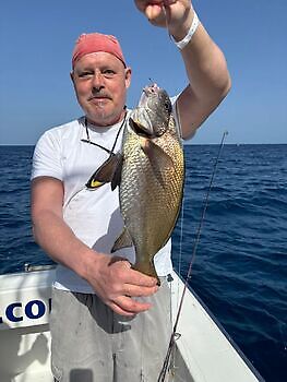 Vakre dager!! White Marlin Gran Canaria