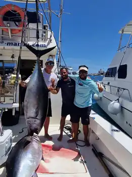 Big Eye !! - White Marlin Gran Canaria