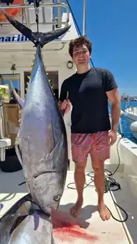 Big Eye !! White Marlin Gran Canaria
