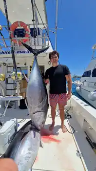 Big Eye !! White Marlin Gran Canaria