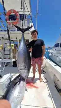 Big Eye !! White Marlin Gran Canaria