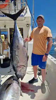 Big Eye !! White Marlin Gran Canaria