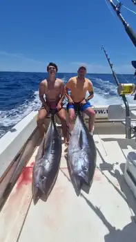 Big Eye !! White Marlin Gran Canaria