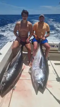 Big Eye !! White Marlin Gran Canaria