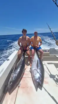 Big Eye !! White Marlin Gran Canaria