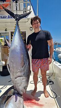 Stort øye!! White Marlin Gran Canaria