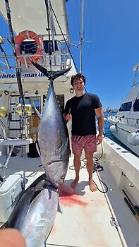 Stort øye!! White Marlin Gran Canaria
